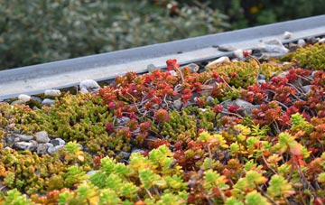 the cost of Trebarwith Strand green roof installation