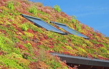 Trebarwith Strand living roof systems